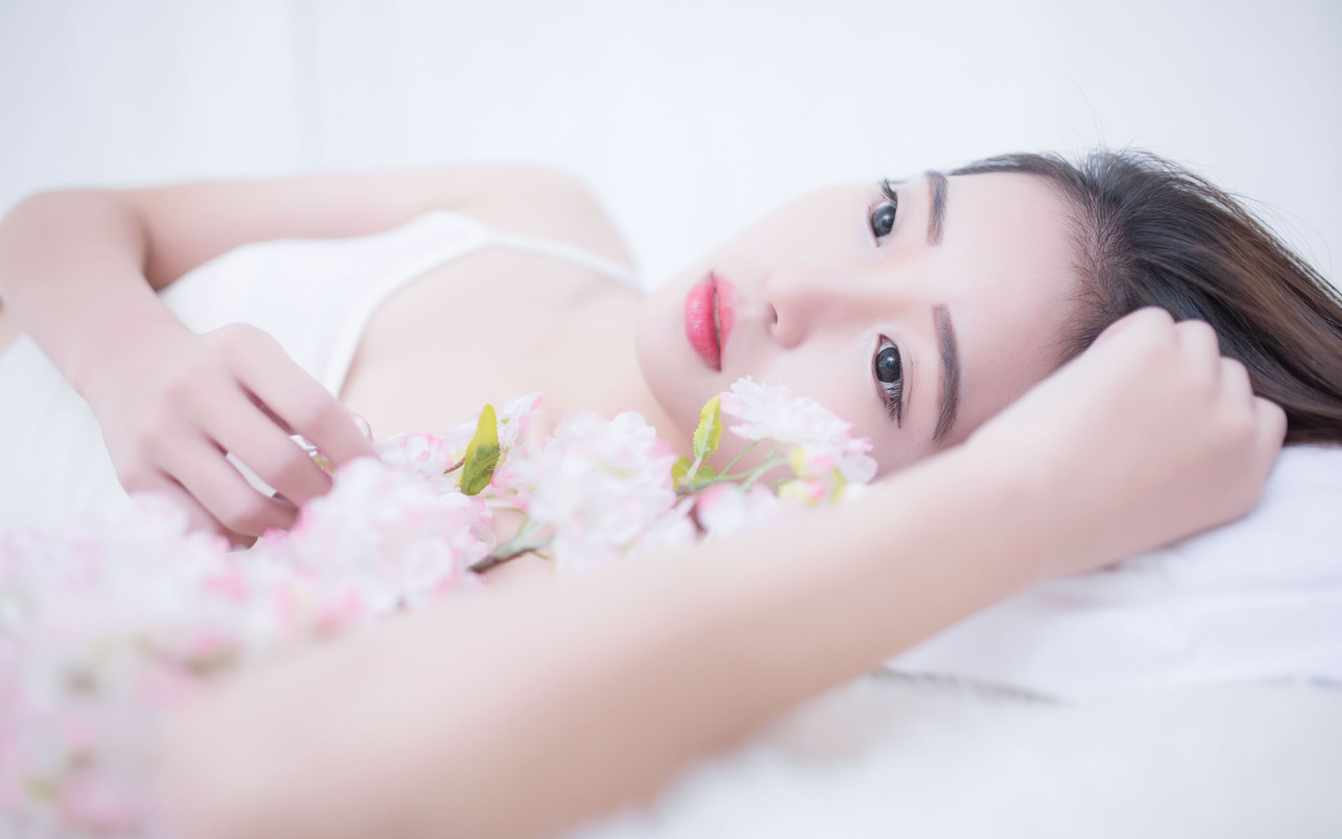 安徽省5年来新增94家华侨国际文化交流基地